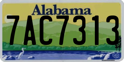 AL license plate 7AC7313