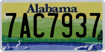 AL license plate 7AC7937