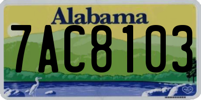 AL license plate 7AC8103