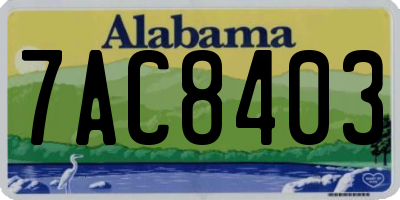 AL license plate 7AC8403