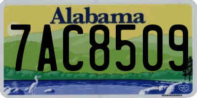 AL license plate 7AC8509