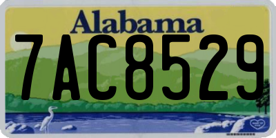 AL license plate 7AC8529
