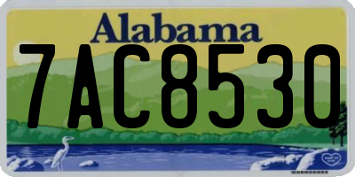 AL license plate 7AC8530