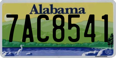 AL license plate 7AC8541