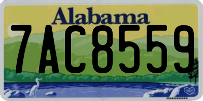 AL license plate 7AC8559
