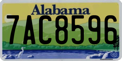 AL license plate 7AC8596