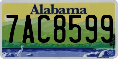 AL license plate 7AC8599