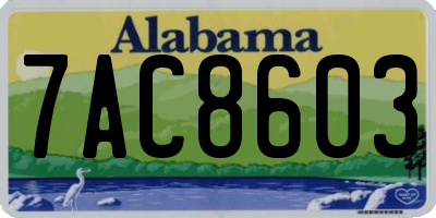 AL license plate 7AC8603