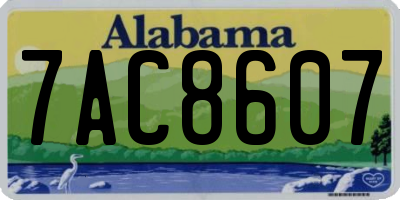 AL license plate 7AC8607