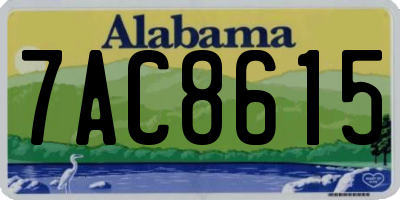 AL license plate 7AC8615