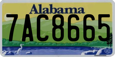 AL license plate 7AC8665