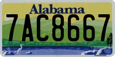 AL license plate 7AC8667
