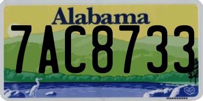 AL license plate 7AC8733