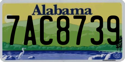 AL license plate 7AC8739