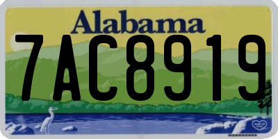 AL license plate 7AC8919