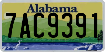 AL license plate 7AC9391
