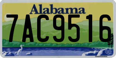 AL license plate 7AC9516