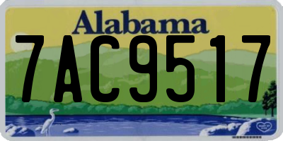 AL license plate 7AC9517