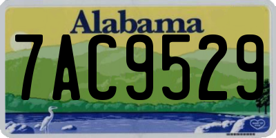 AL license plate 7AC9529