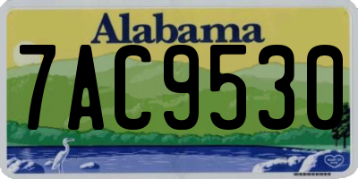 AL license plate 7AC9530