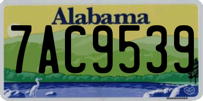AL license plate 7AC9539