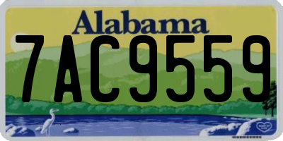 AL license plate 7AC9559