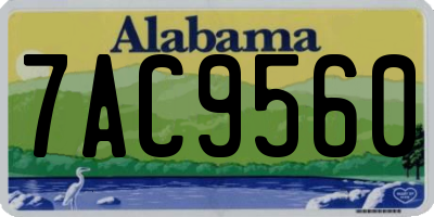 AL license plate 7AC9560