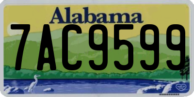 AL license plate 7AC9599
