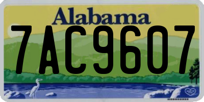 AL license plate 7AC9607