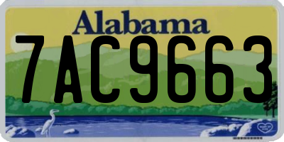 AL license plate 7AC9663