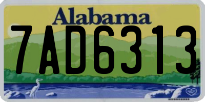 AL license plate 7AD6313