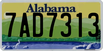 AL license plate 7AD7313