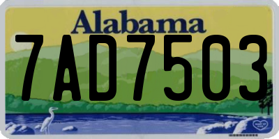 AL license plate 7AD7503