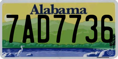 AL license plate 7AD7736
