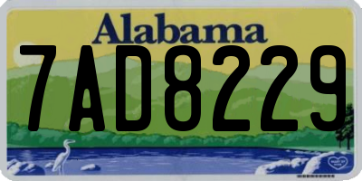 AL license plate 7AD8229