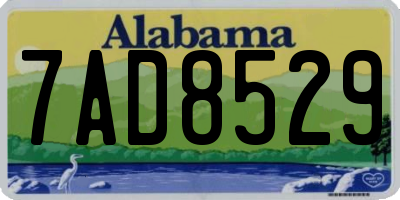 AL license plate 7AD8529