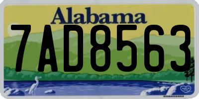 AL license plate 7AD8563