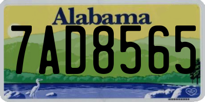 AL license plate 7AD8565