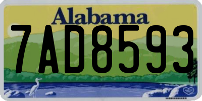 AL license plate 7AD8593