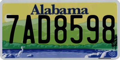 AL license plate 7AD8598