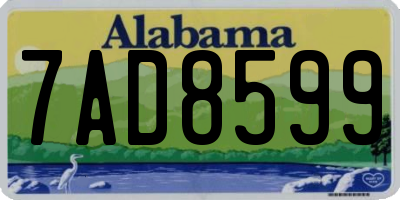AL license plate 7AD8599