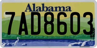 AL license plate 7AD8603