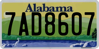 AL license plate 7AD8607