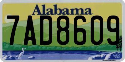 AL license plate 7AD8609