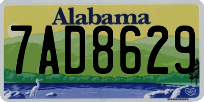 AL license plate 7AD8629