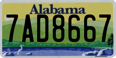 AL license plate 7AD8667