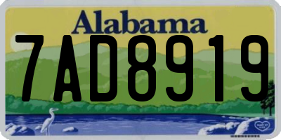 AL license plate 7AD8919