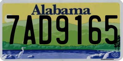 AL license plate 7AD9165