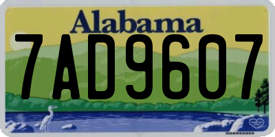 AL license plate 7AD9607