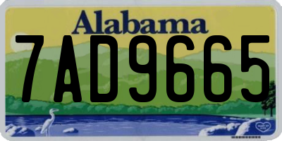 AL license plate 7AD9665